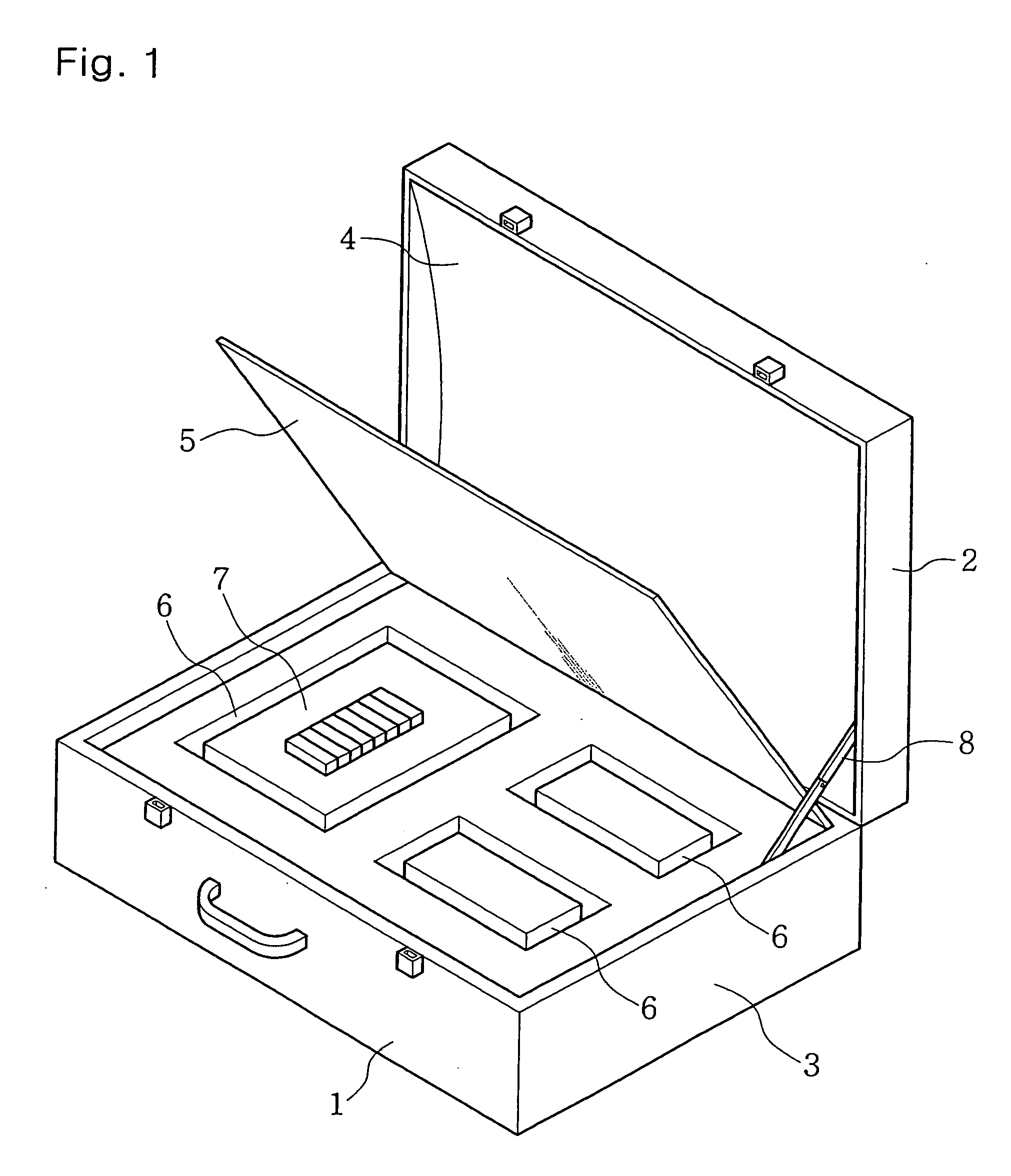 Bag type presentation apparatus