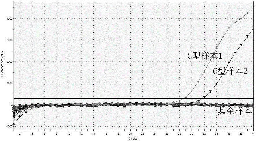 Primers, probes and kit for typing qualitative detection of hepatitis B virus (HBV)