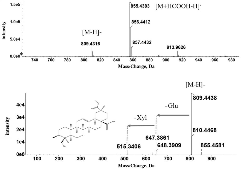 Method for quickly screening [alpha]-glucosidase inhibitor in quinoa bran