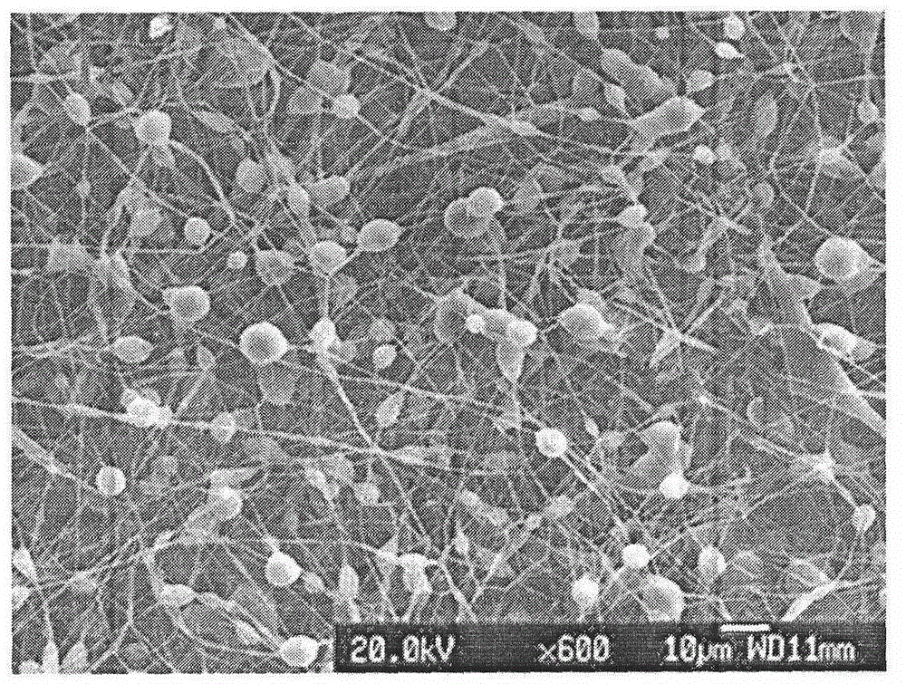 Polycaprolactone-collagen-fibroin nano three-dimensional porous stent and preparation method thereof