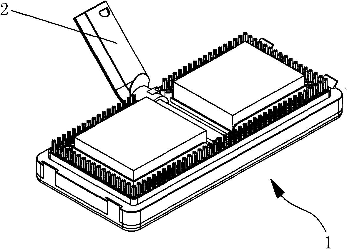 Steam brush head