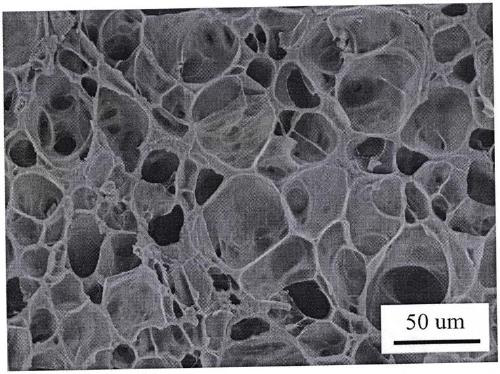 Preparation method of polyvinyl alcohol/hydroxyapatite microcellular foaming material