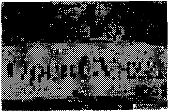 Target automatically recognizing and tracking method based on affine invariant point and optical flow calculation