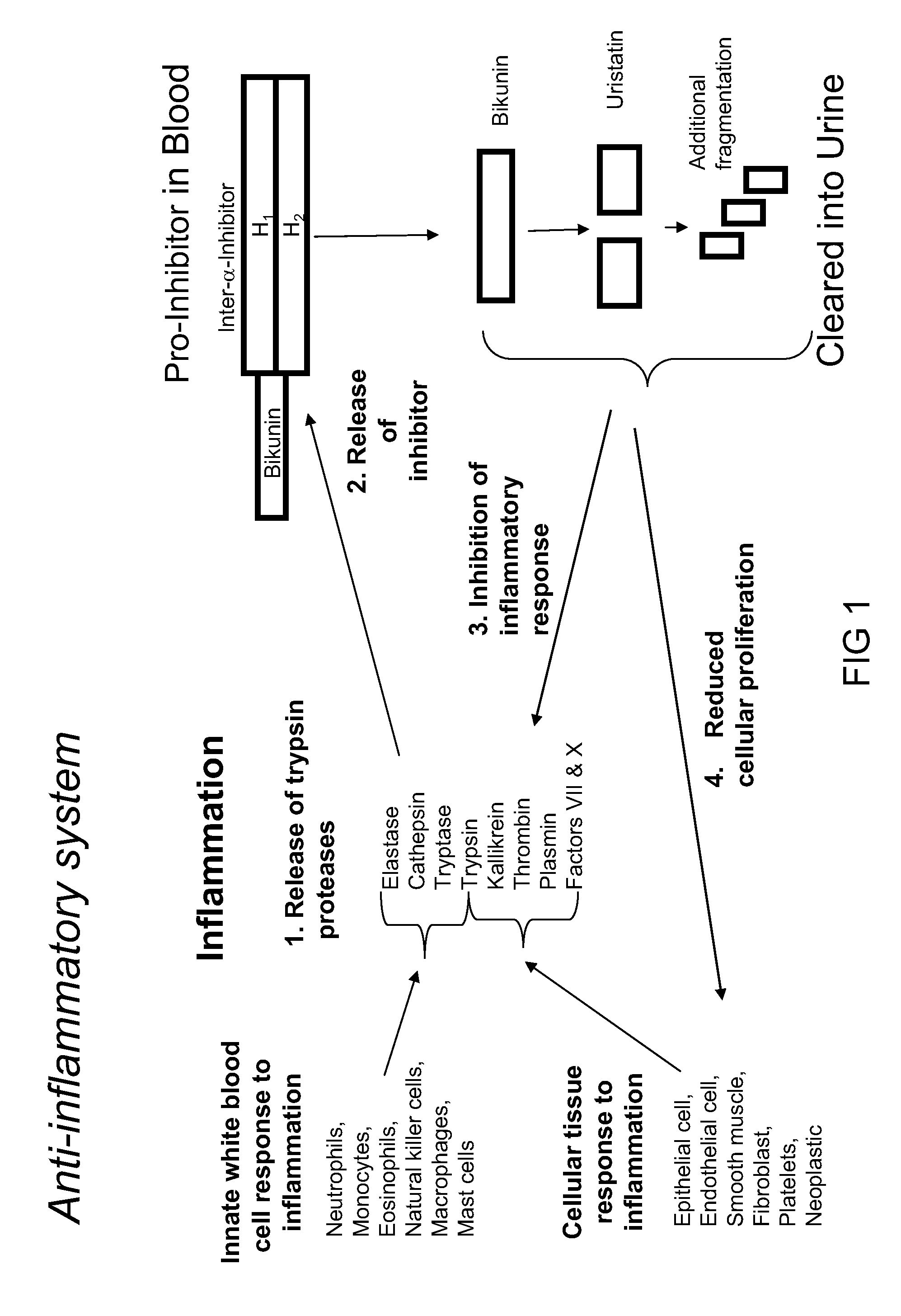 Urinary trypsin inhibitors as diagnostic aid for interstitial cystitis