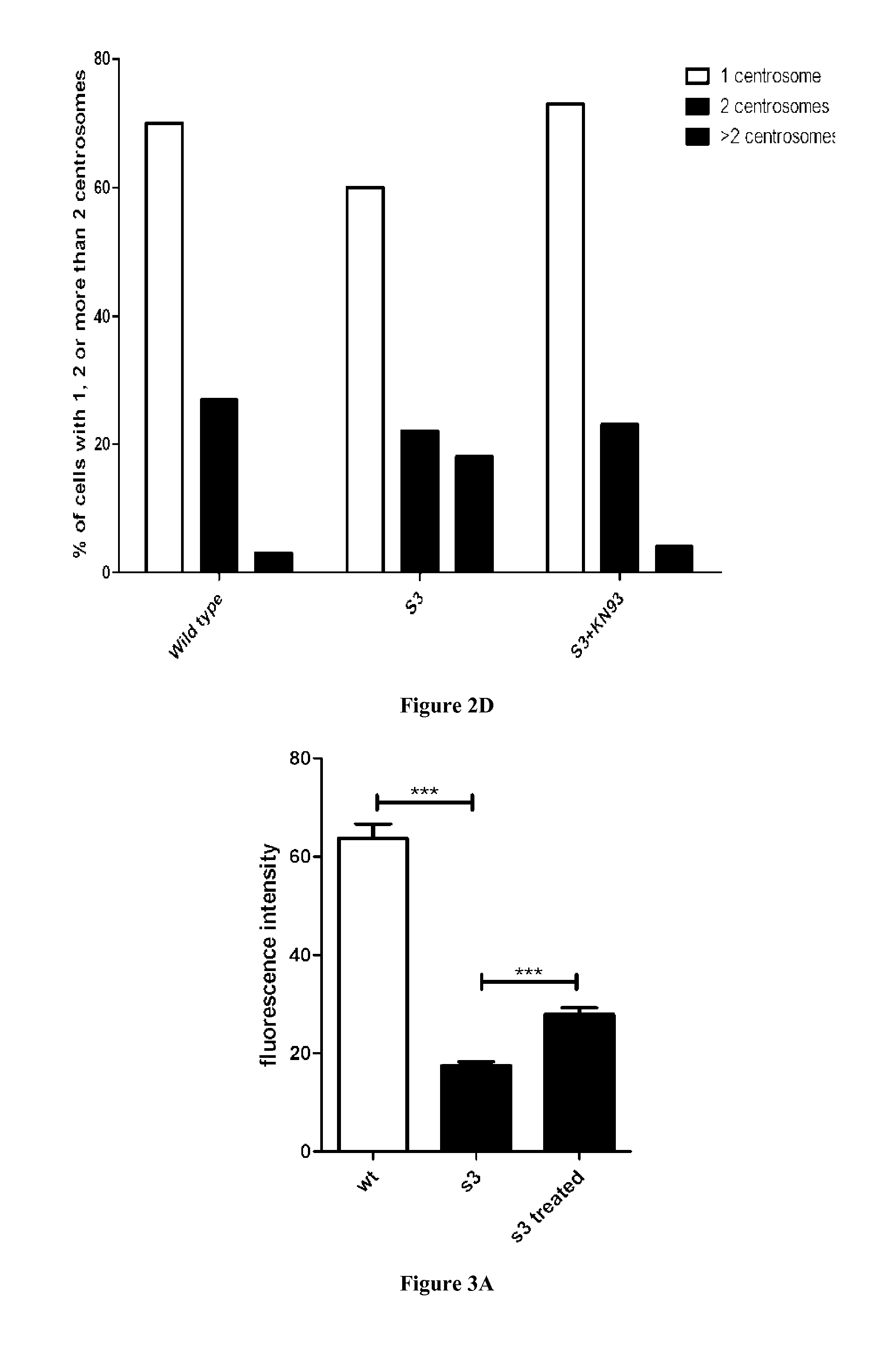 Methods and Pharmaceutical Compositions for the Treatment of X-Linked Charcot-Marie-Tooth