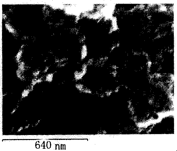 Process for preparing ferric oxide hollow particle using core-shell structured ferric oxide-organic composite particle