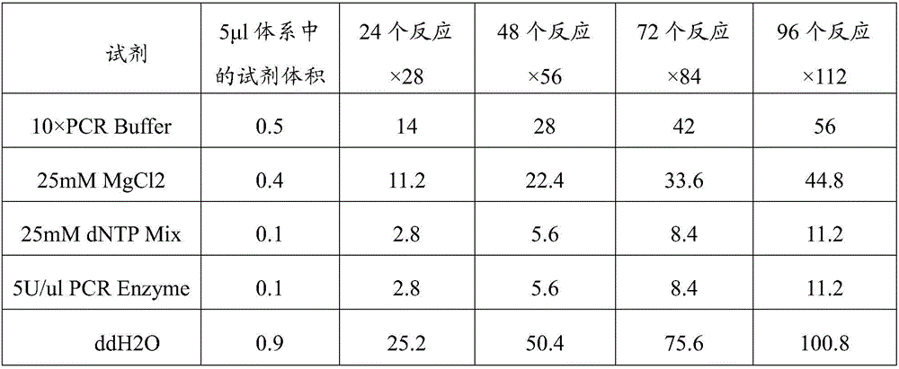 Mammary-cancer-susceptible-gene detection chip and preparation method thereof