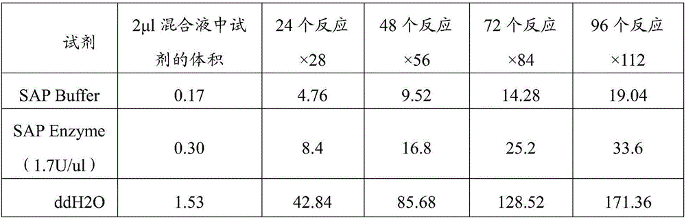 Mammary-cancer-susceptible-gene detection chip and preparation method thereof