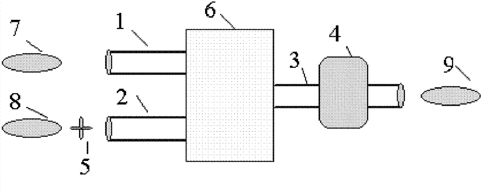 Respirator and oxygen concentration detection device and method