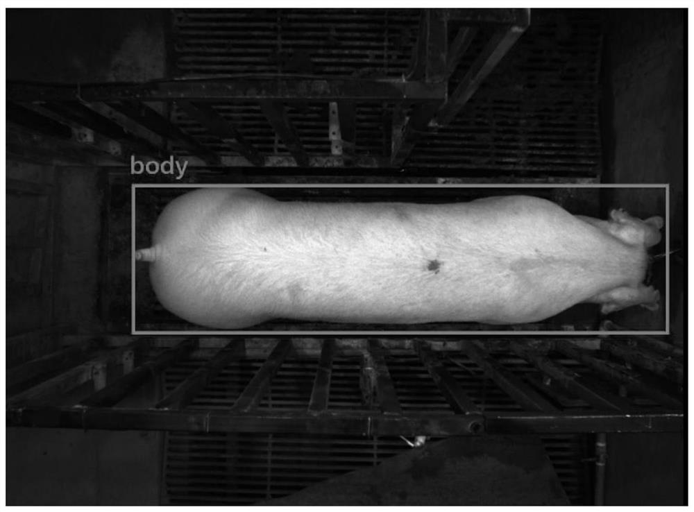 Method for screening ideal frames of pig images based on machine vision technology