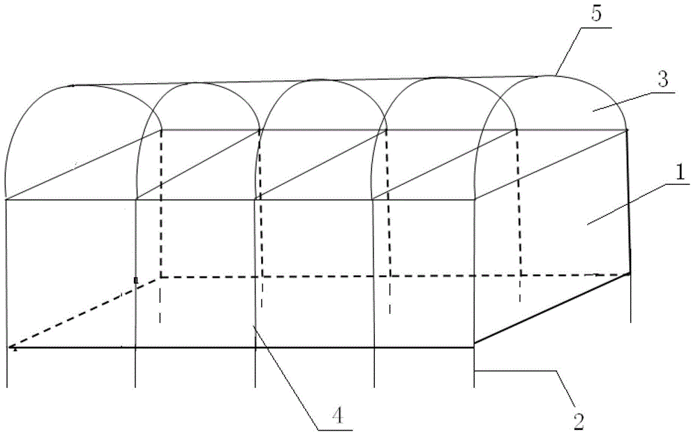 A kind of breeding method of original seed of two-line sterile line