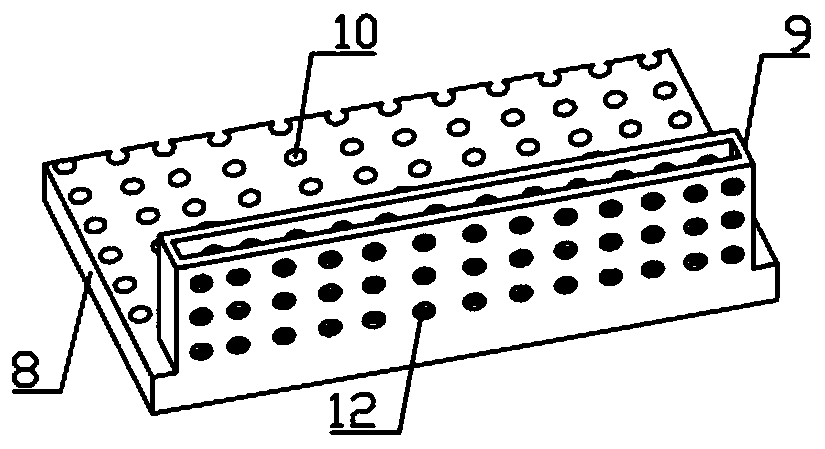 A ground cover ornamental bamboo seedling raising facility and seedling raising method