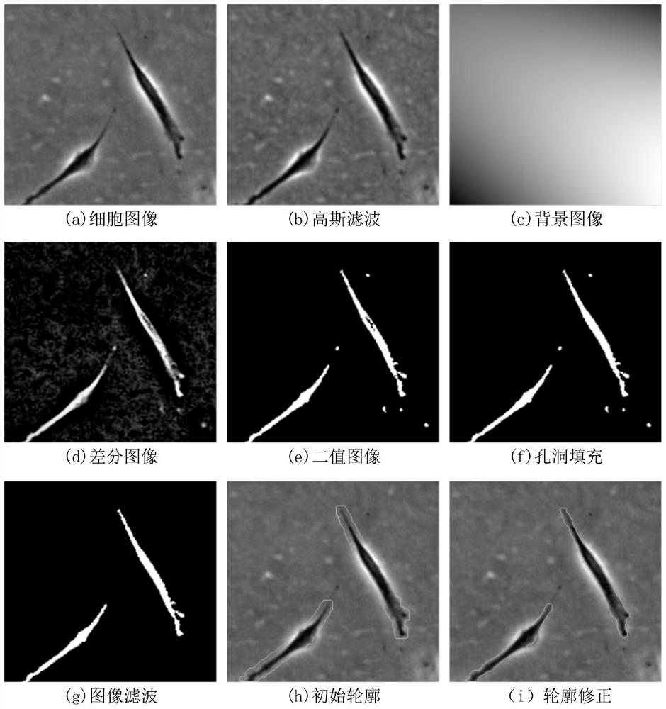 Cell image segmentation method based on anti-background differencing