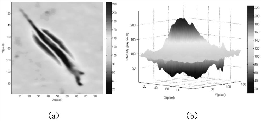 Cell image segmentation method based on anti-background differencing