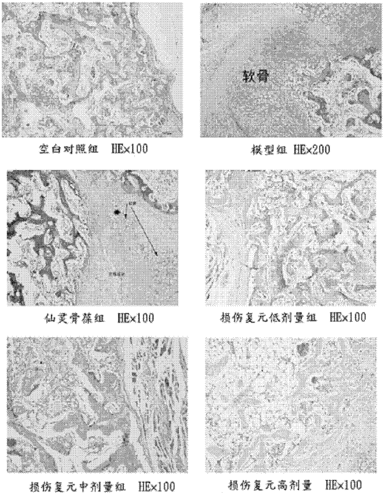 Traditional Chinese medicine composition used for treating fractures, preparation method thereof, and application thereof