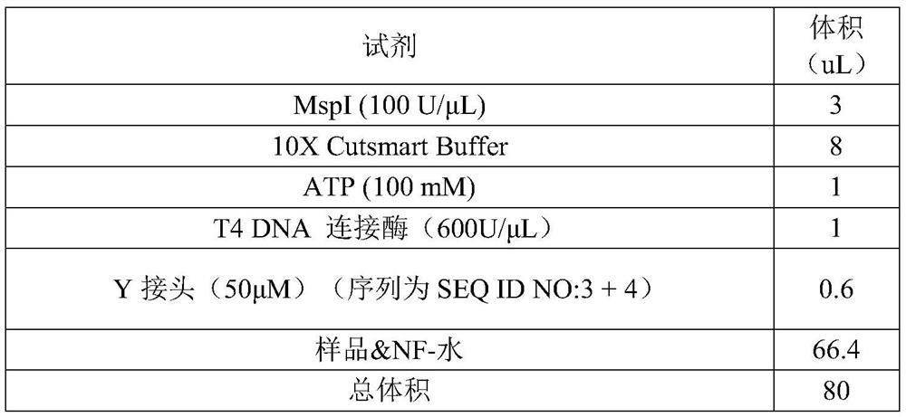 Y-shaped linker, kit and method for constructing RRBS library