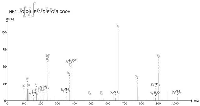 Skin rejuvenation protein marker-LRC59 protein and non-invasive extraction method thereof