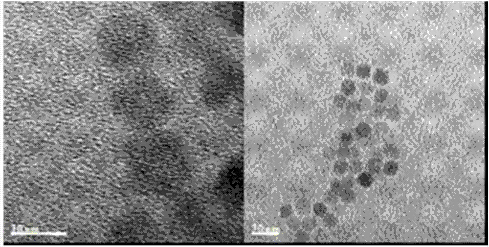 Preparation method and biological application of T1-T1 synergistic effect gadolinium chelate manganous-manganic oxide nano particle