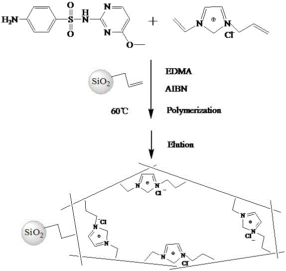 Surface molecularly imprinted polymer used for selectively absorbing sulfamonomethoxine and preparation method thereof and application thereof