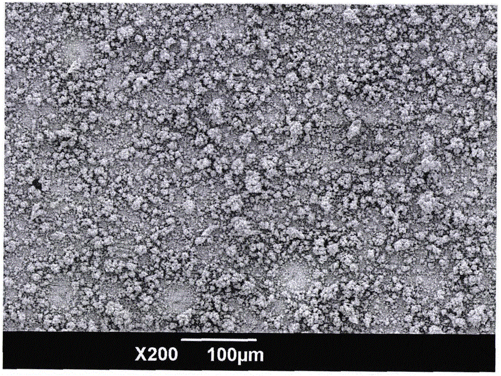 Electrochemical method for preparing super-hydrophobic surface of copper dendritic crystal