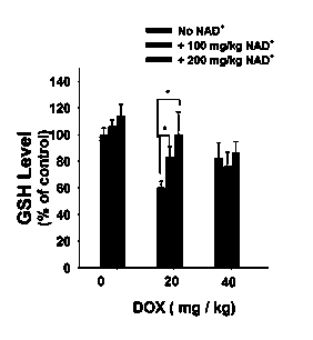 Applications of nicotinamide adenine dinucleotide (NAD&lt;+&gt;) in preparation of medicine used for curing liver damages caused by chemotherapy drug doxorubicin hydrochloride