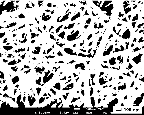 Glass carbon nanometer fiber preparation method