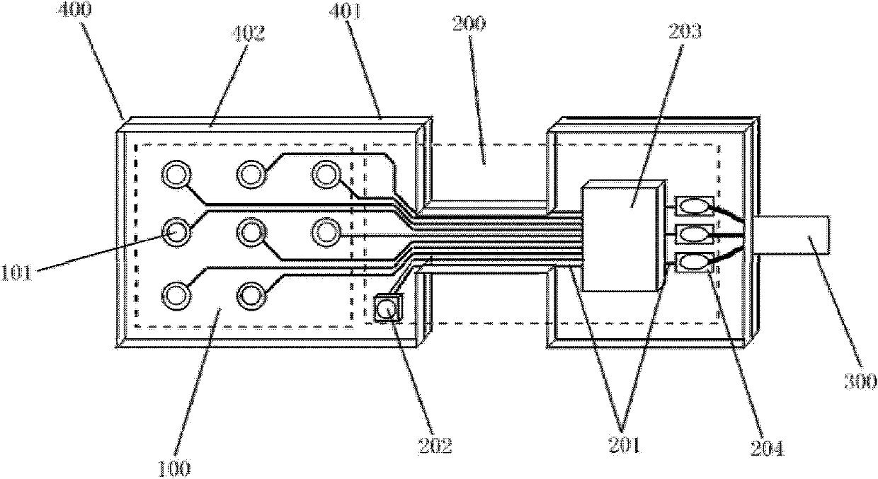 Implanted neural electrode array system and manufacturing method thereof