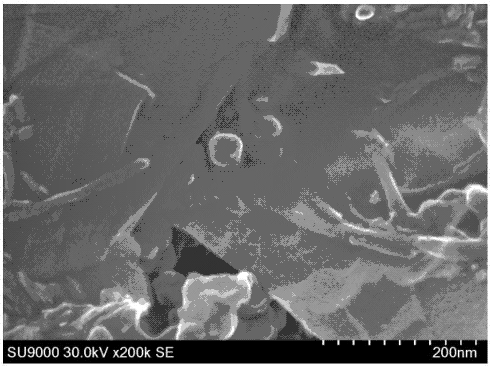 Water-based electric heating coating composition, water-based electric heating coating, preparation method of water-based electric heating coating and electric heating film prepared by water-based electric heating coating