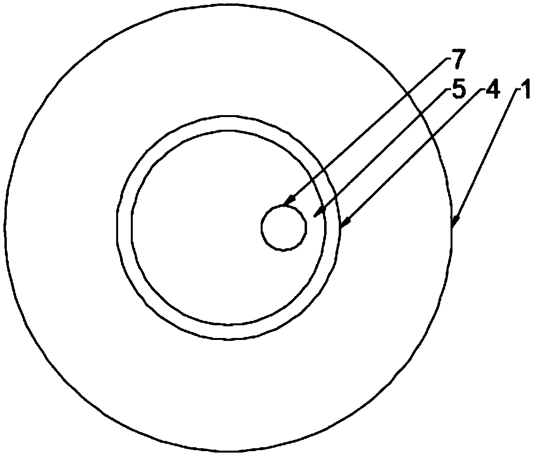 Soapberry irrigation device based on deep irrigation technology