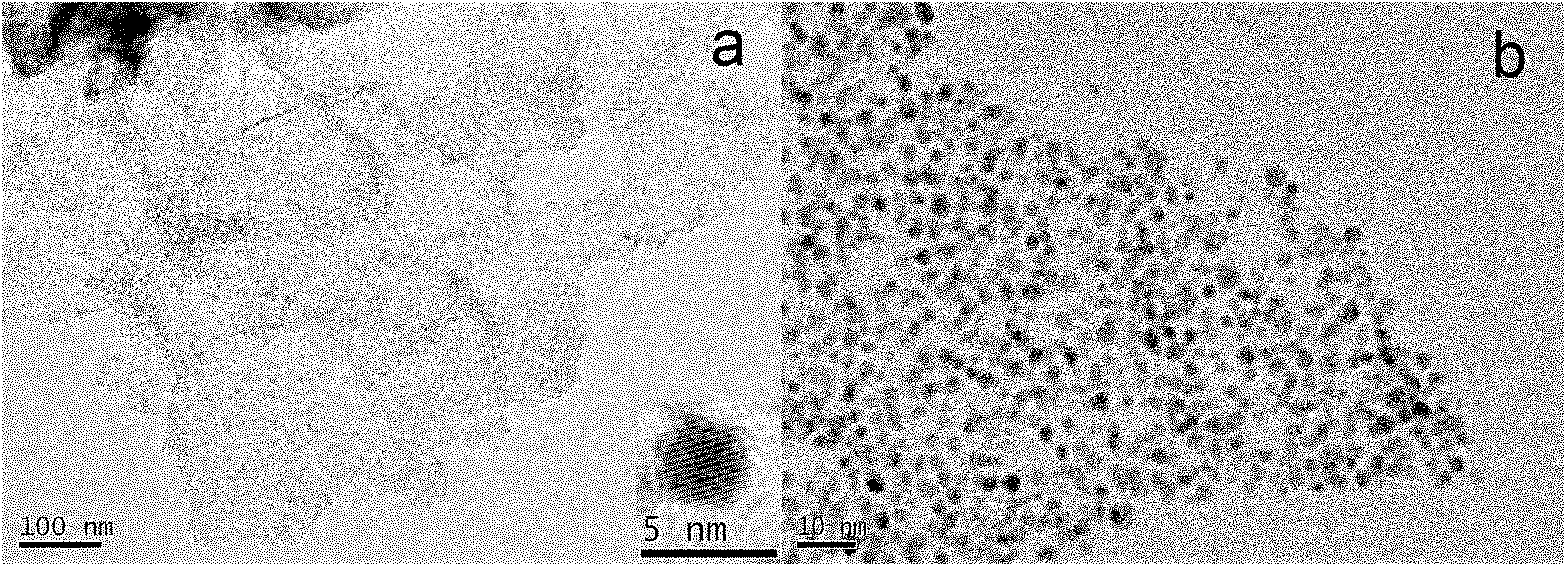 Preparation method of platinum nanoparticle loaded graphene