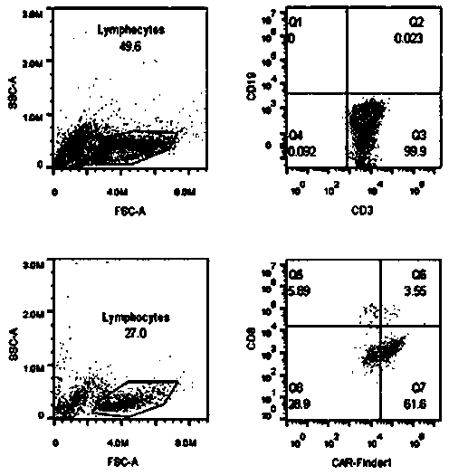 CAR-T (chimeric antigen receptor T cell) storage solution