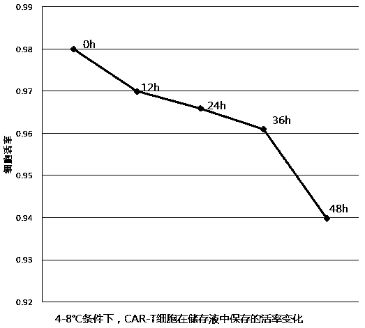 CAR-T (chimeric antigen receptor T cell) storage solution