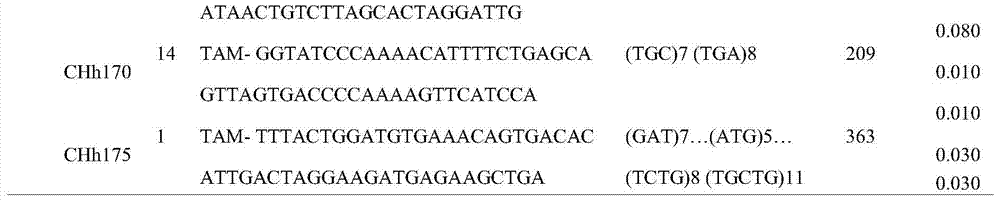 A method for family identification and paternity identification using multiple fluorescently labeled microsatellites of Abalone rugosa