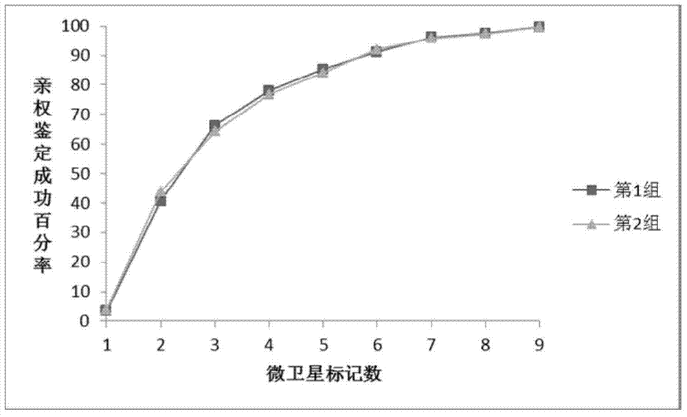 A method for family identification and paternity identification using multiple fluorescently labeled microsatellites of Abalone rugosa