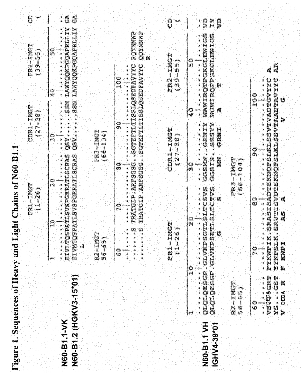 Recombinant fusion protein comprising HIV gp120 linked to an enhancing CD4 binding site mAb