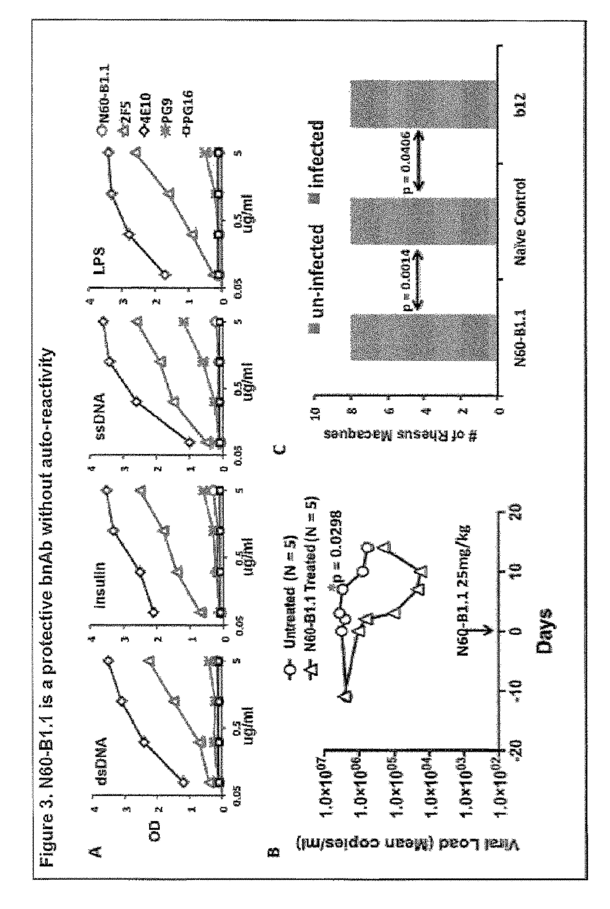 Recombinant fusion protein comprising HIV gp120 linked to an enhancing CD4 binding site mAb