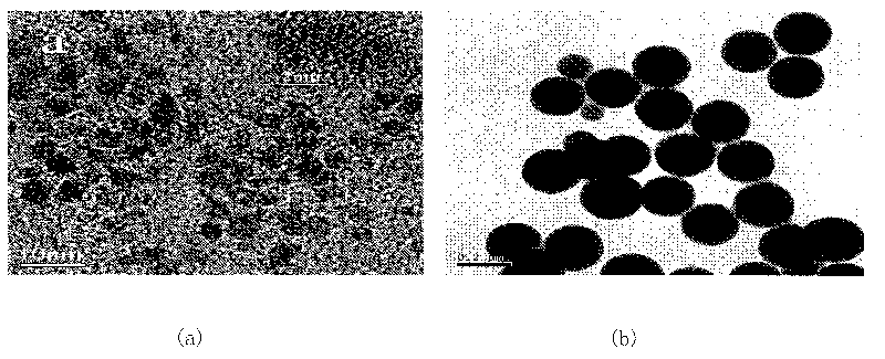 Preparation method of CdSe/SiO2 quantum dot composite fluorescent nanoparticles