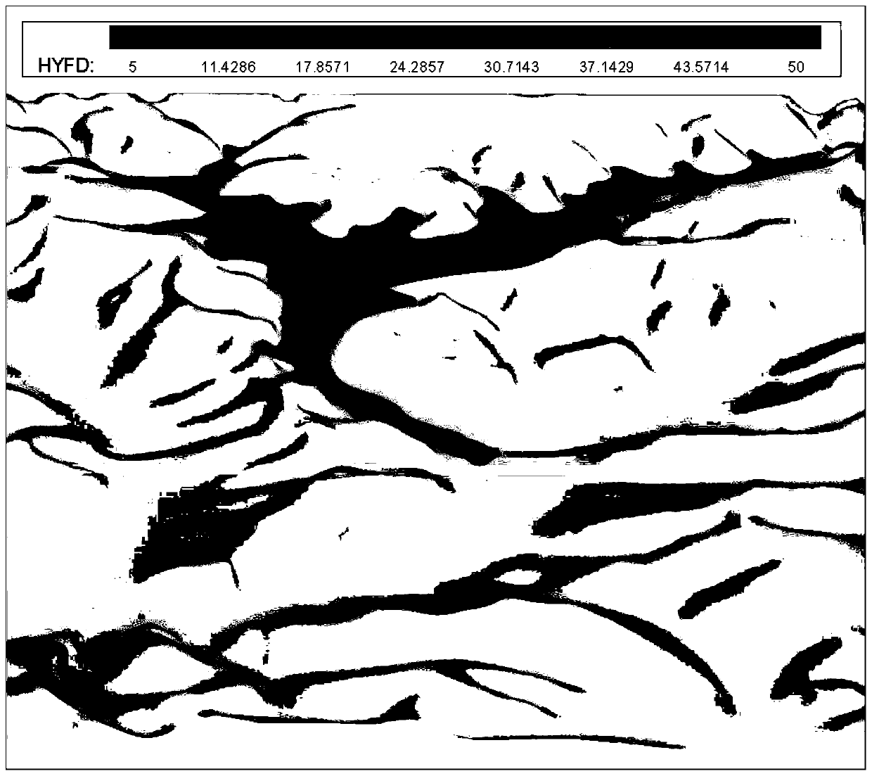 Uranium tailing pond dam break three-dimensional numerical simulation method based on computational fluid mechanics