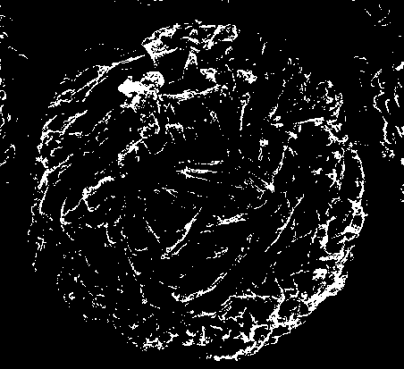 Porous lithium iron phosphate/carbon composite microspheres and preparation method thereof