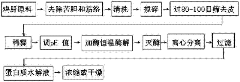 Process for preparing chicken liver hydrolyzed protein with proteases