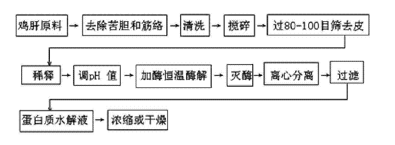 Process for preparing chicken liver hydrolyzed protein with proteases