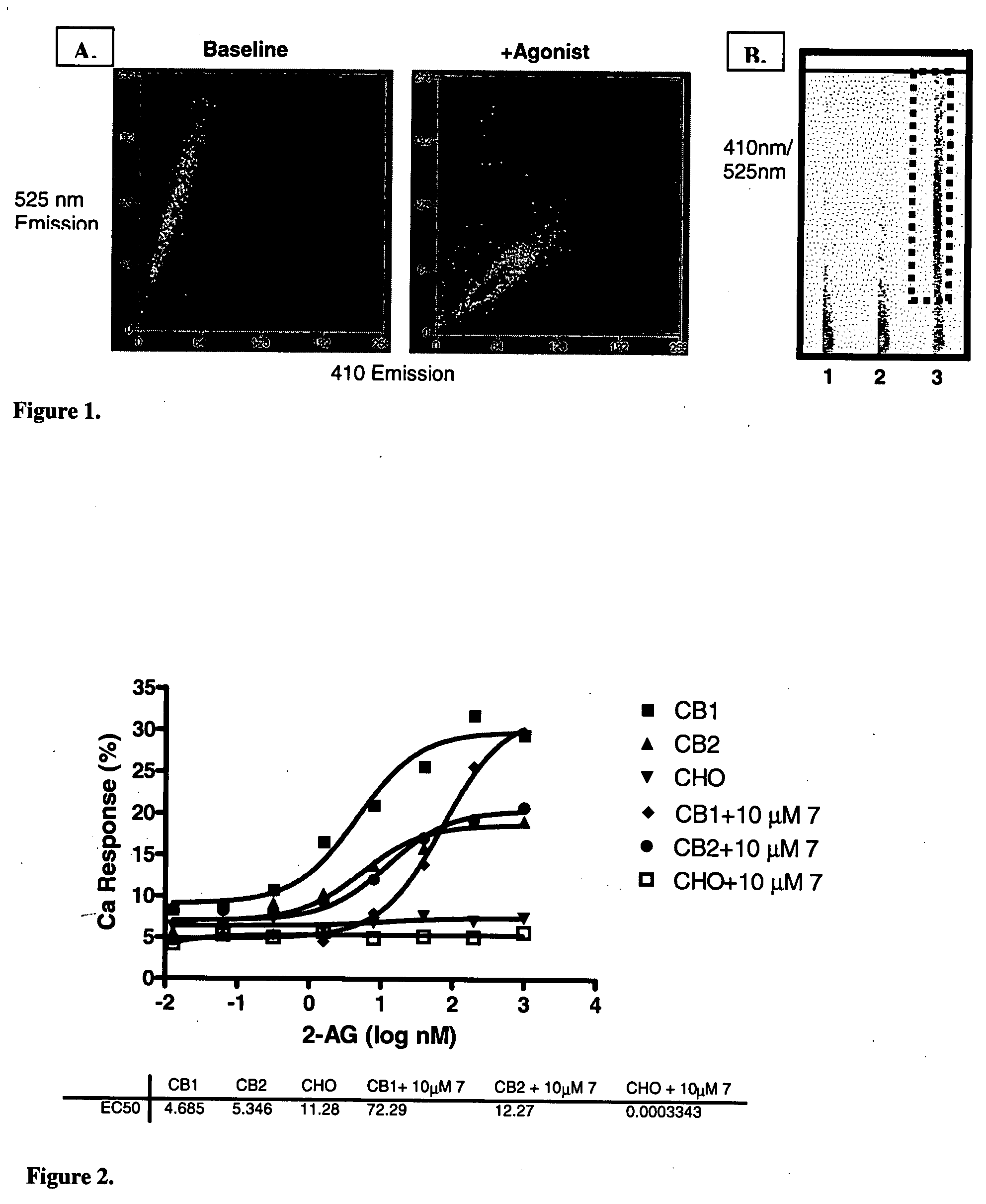 CB1 antagonists and inverse agonists