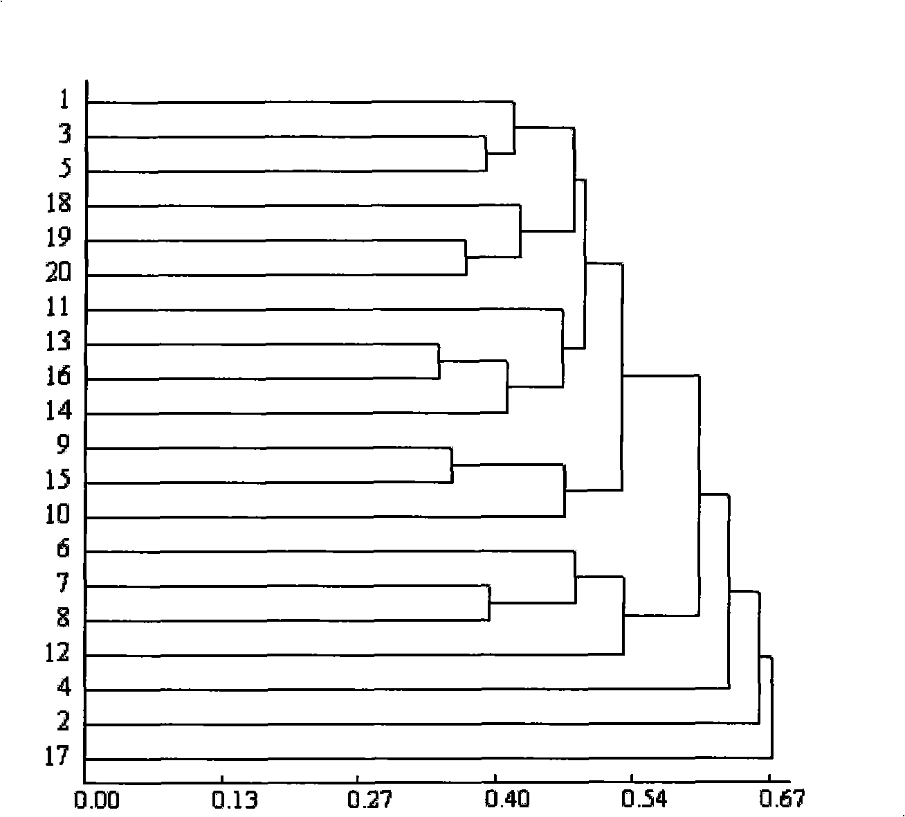 Method for marking non-heading cabbage molecule by utilizing SAMPL technique