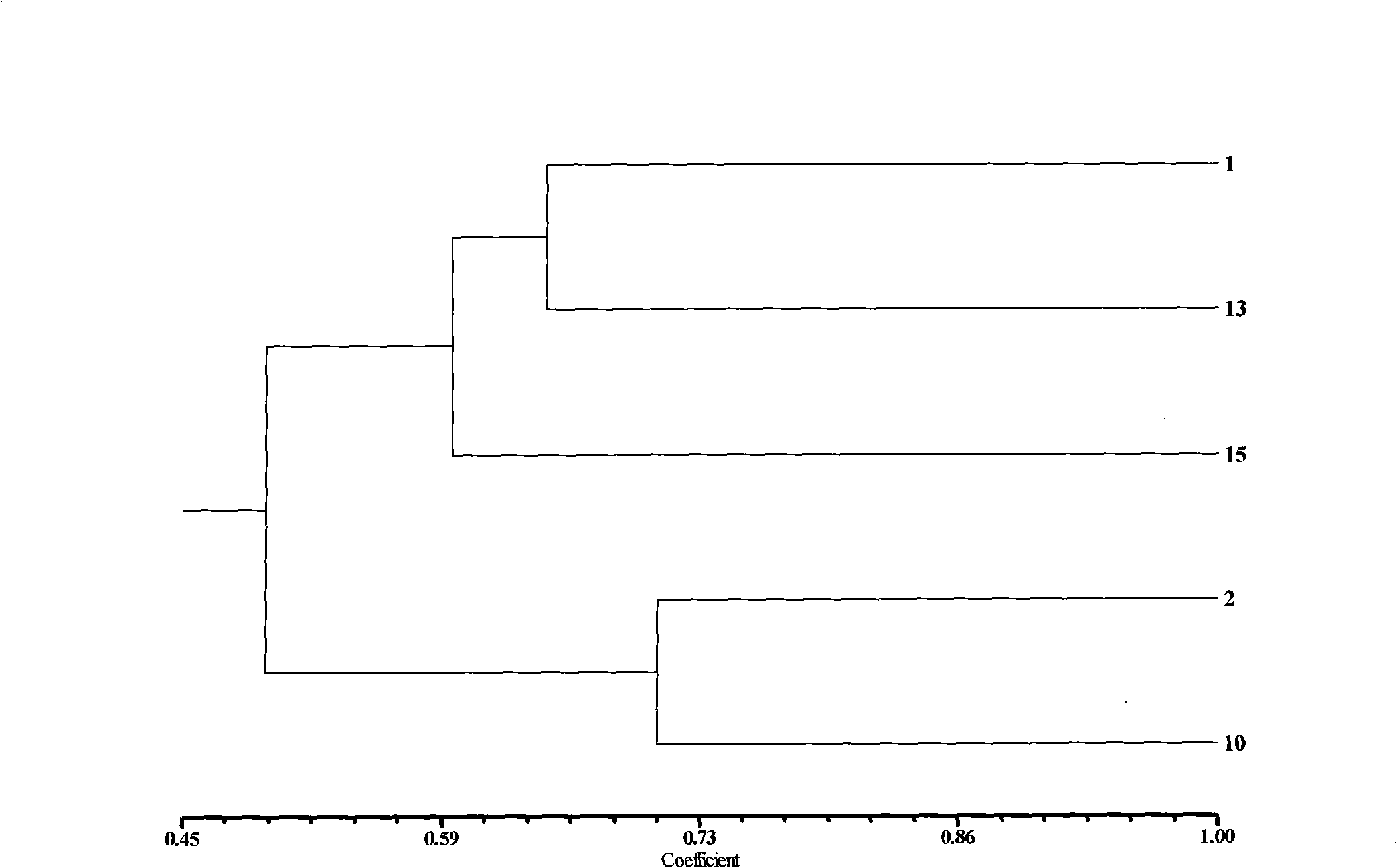 Method for marking non-heading cabbage molecule by utilizing SAMPL technique