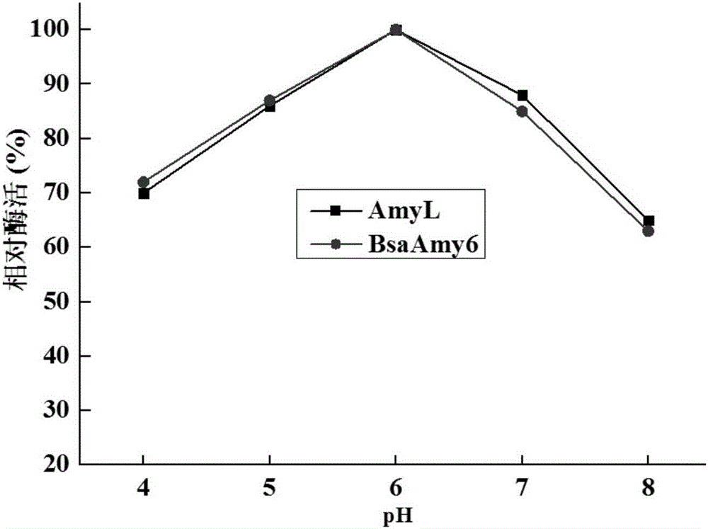 Alpha-AmyL (Amylase) mutant with increased activity and coding gene and application thereof