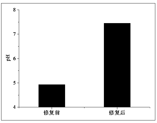 Method for remedying acidified arsenic contaminated soil by biochar-loaded nano-scale zero-valent iron cooperated with bacteria