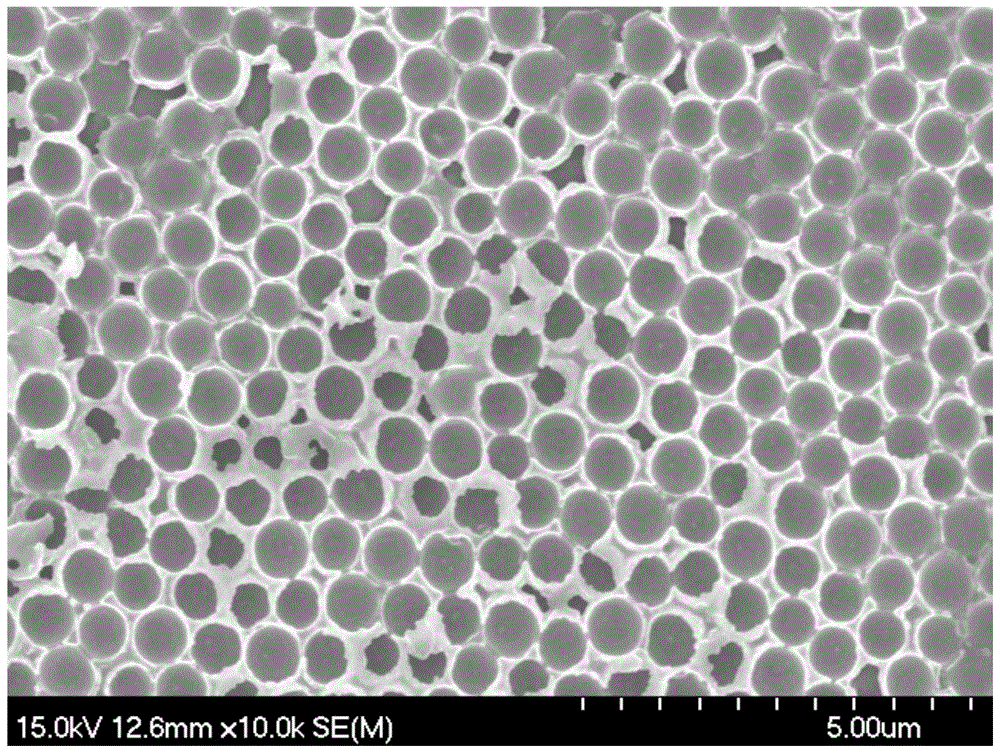 Preparation method of conductive polymer film with inverse opal structure