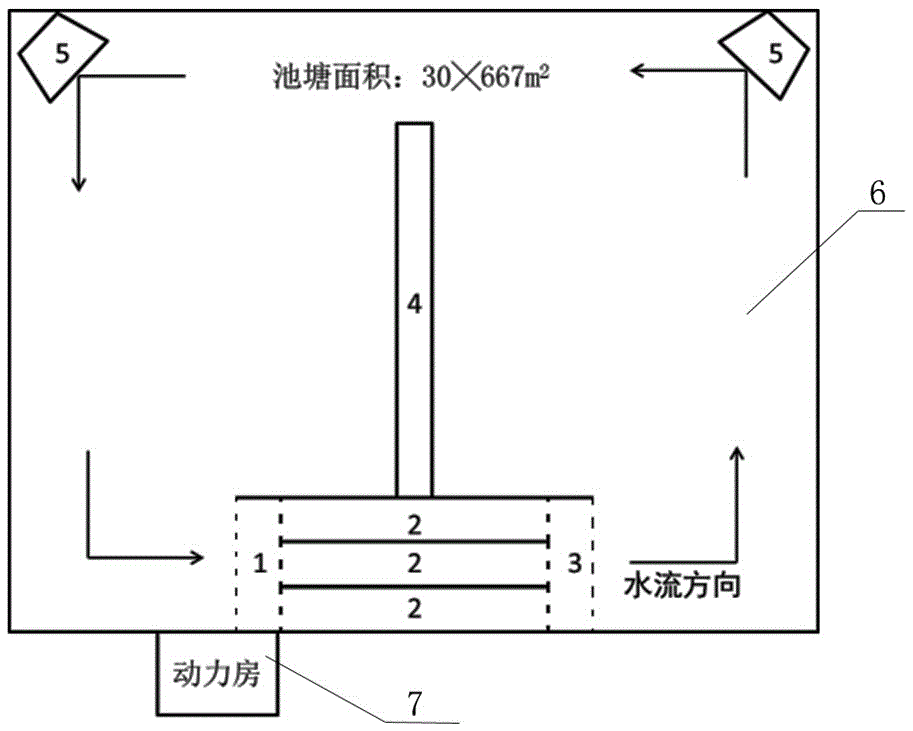 Method for high-density culture of siniperca chuatsi in flowing water pond