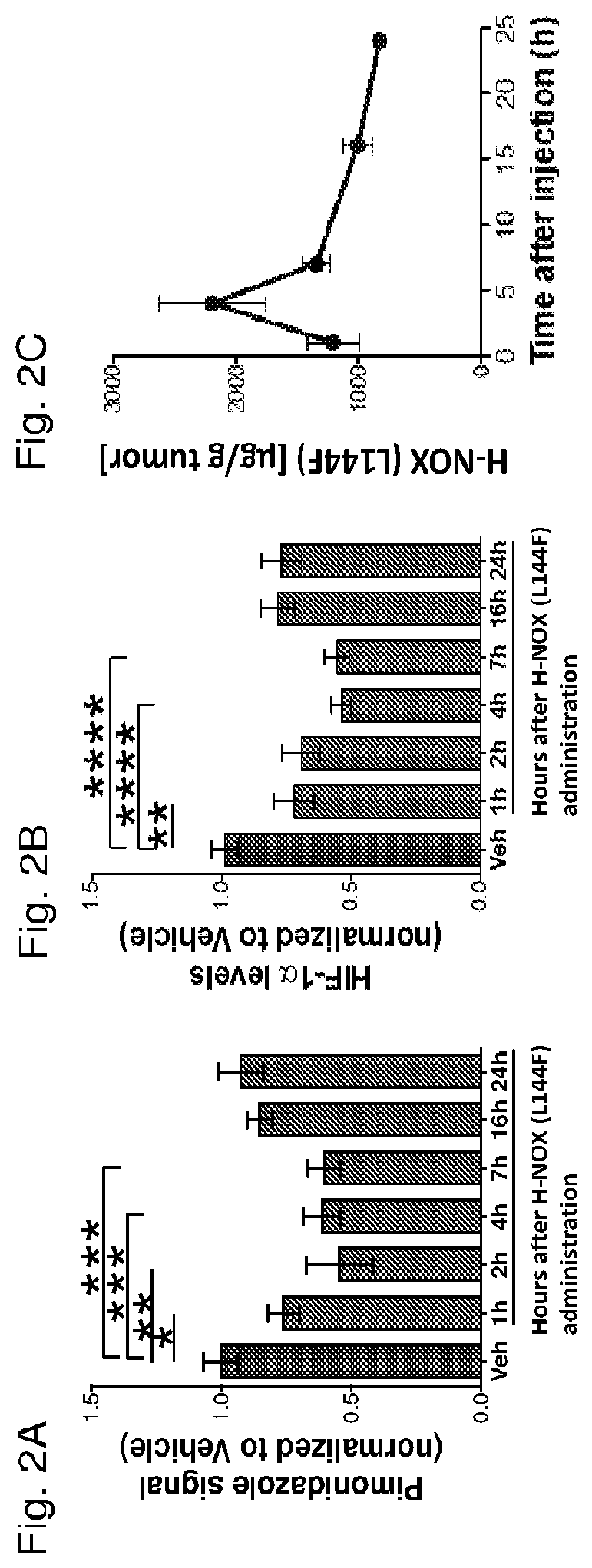 Modulation of tumor immunity by protein-mediated o2 delivery