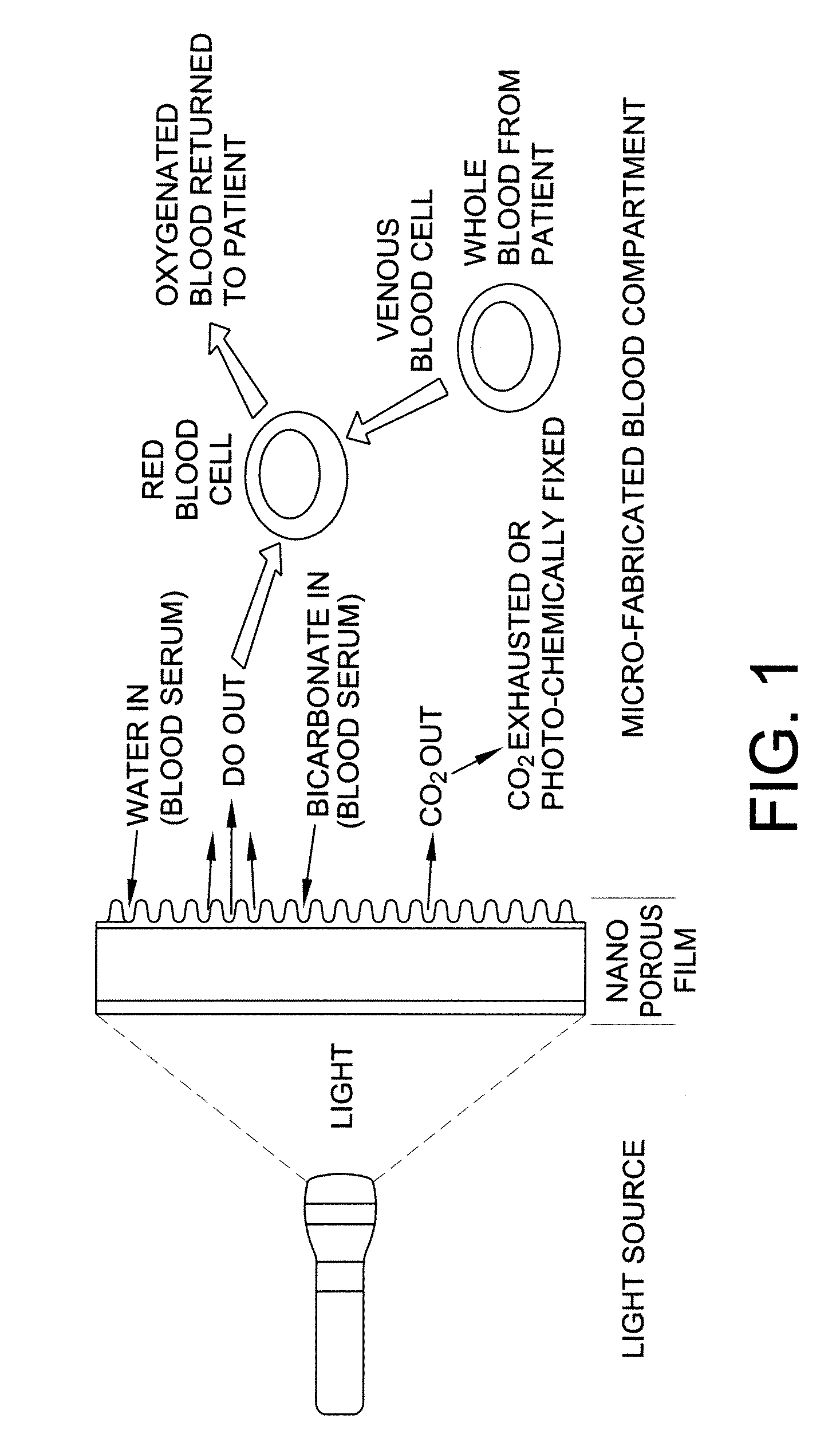 Carbon dioxide removal from whole blood by photolytic activation